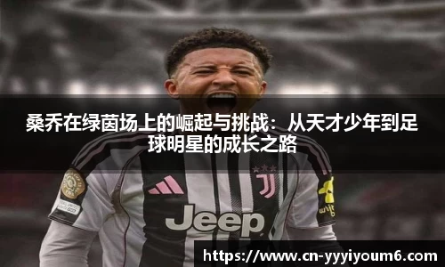米乐M6官网