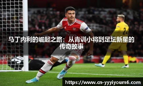 米乐YY易游