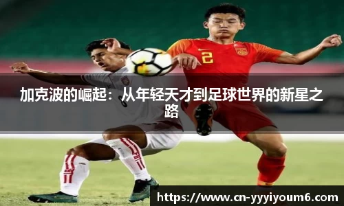 yy易游官网