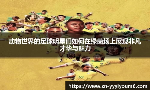 米乐YY易游