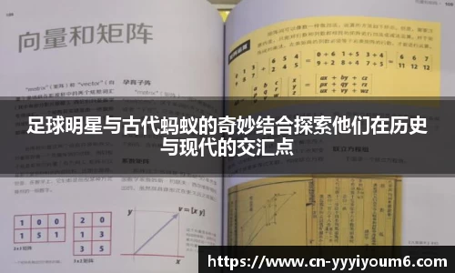 米乐YY易游